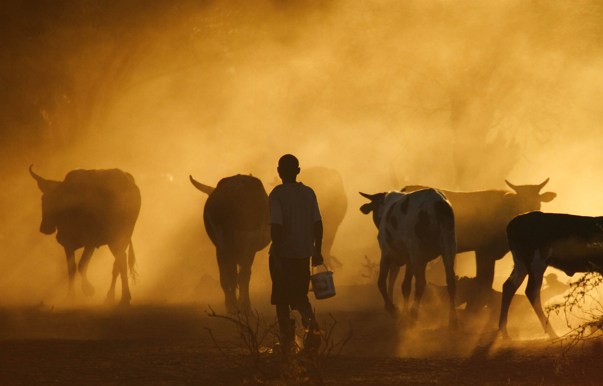 Drylands partnership project looks toward delivery