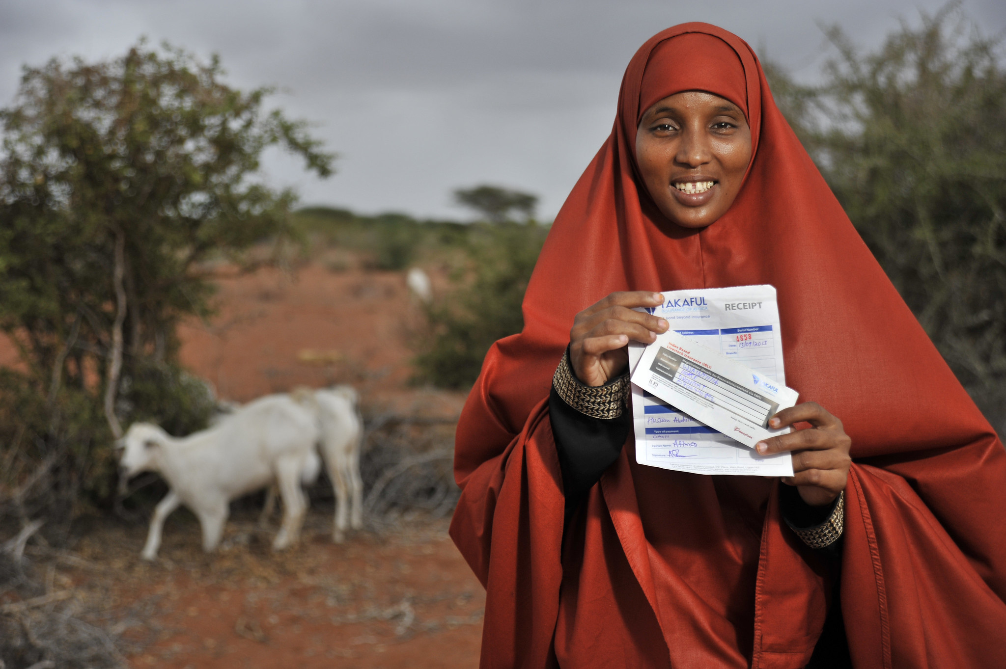Escaping dryland poverty traps and unlocking prosperity: Lessons from Index-Based Livestock Insurance