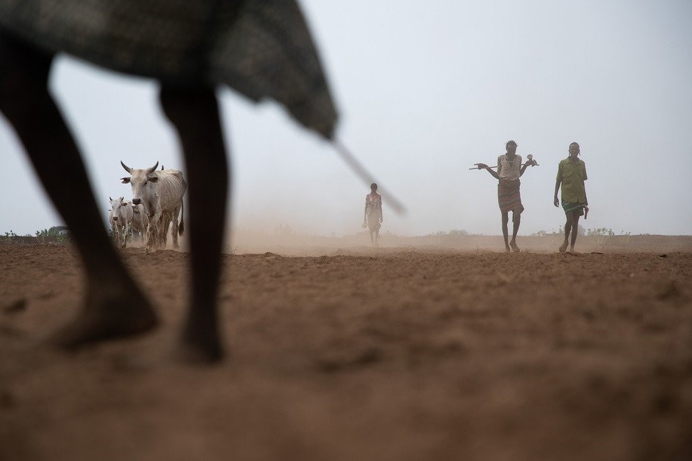 Anticipatory actions can mitigate future droughts in East Africa’s drylands