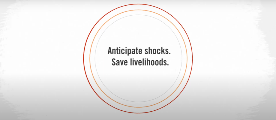 Understanding anticipatory action in food crises