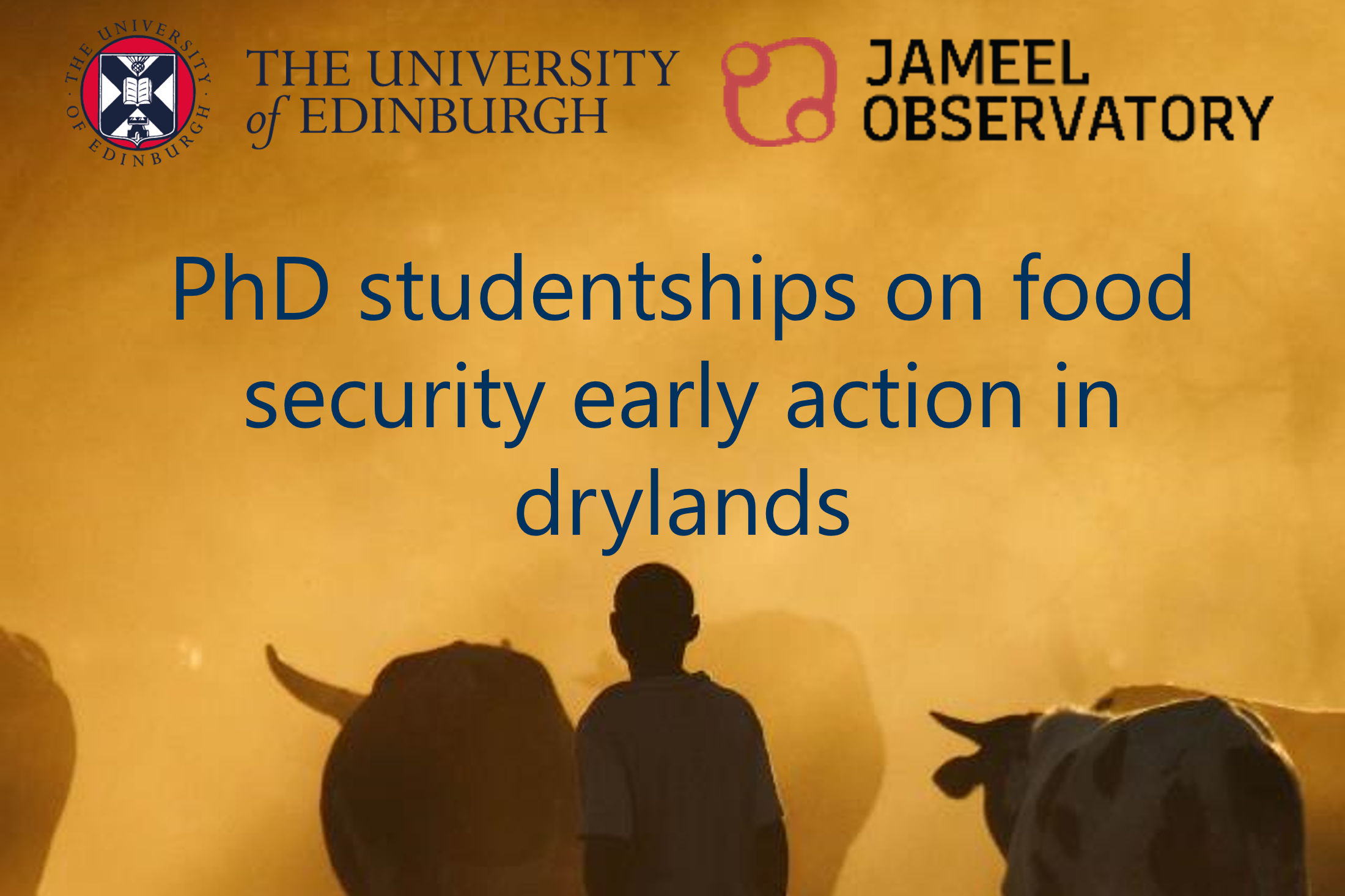 Jameel Observatory seeks PhD proposals for research on food security early action