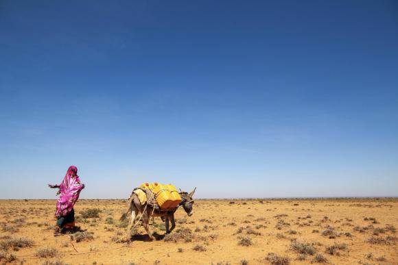 Advancing research on pastoral livelihoods in the face of environmental shocks