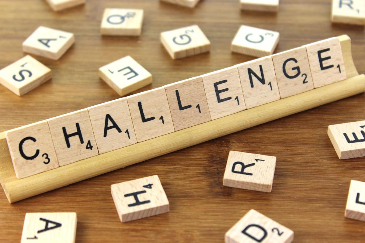 Action research on challenge questions the focus of Observatory’s second year