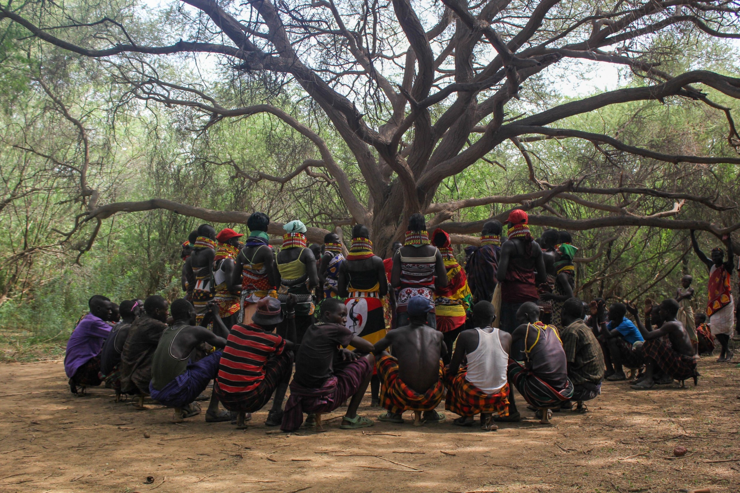 Overcoming policy and practice disconnects to build dryland resilience from below