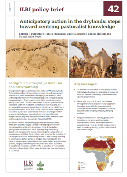 Anticipatory action in the drylands – bringing pastoralist knowledge to the fore