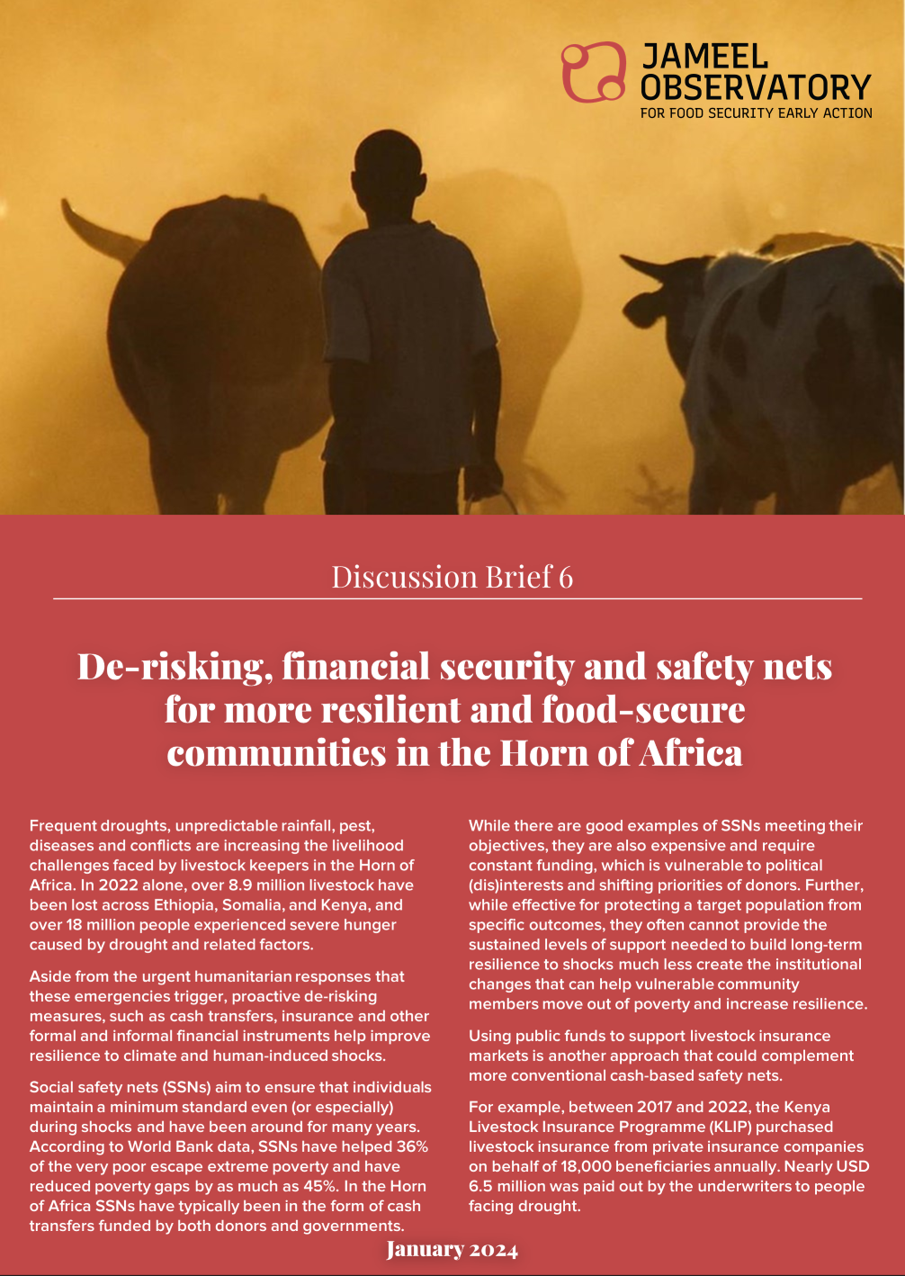 De-risking, financial security and safety nets for more resilient dryland communities