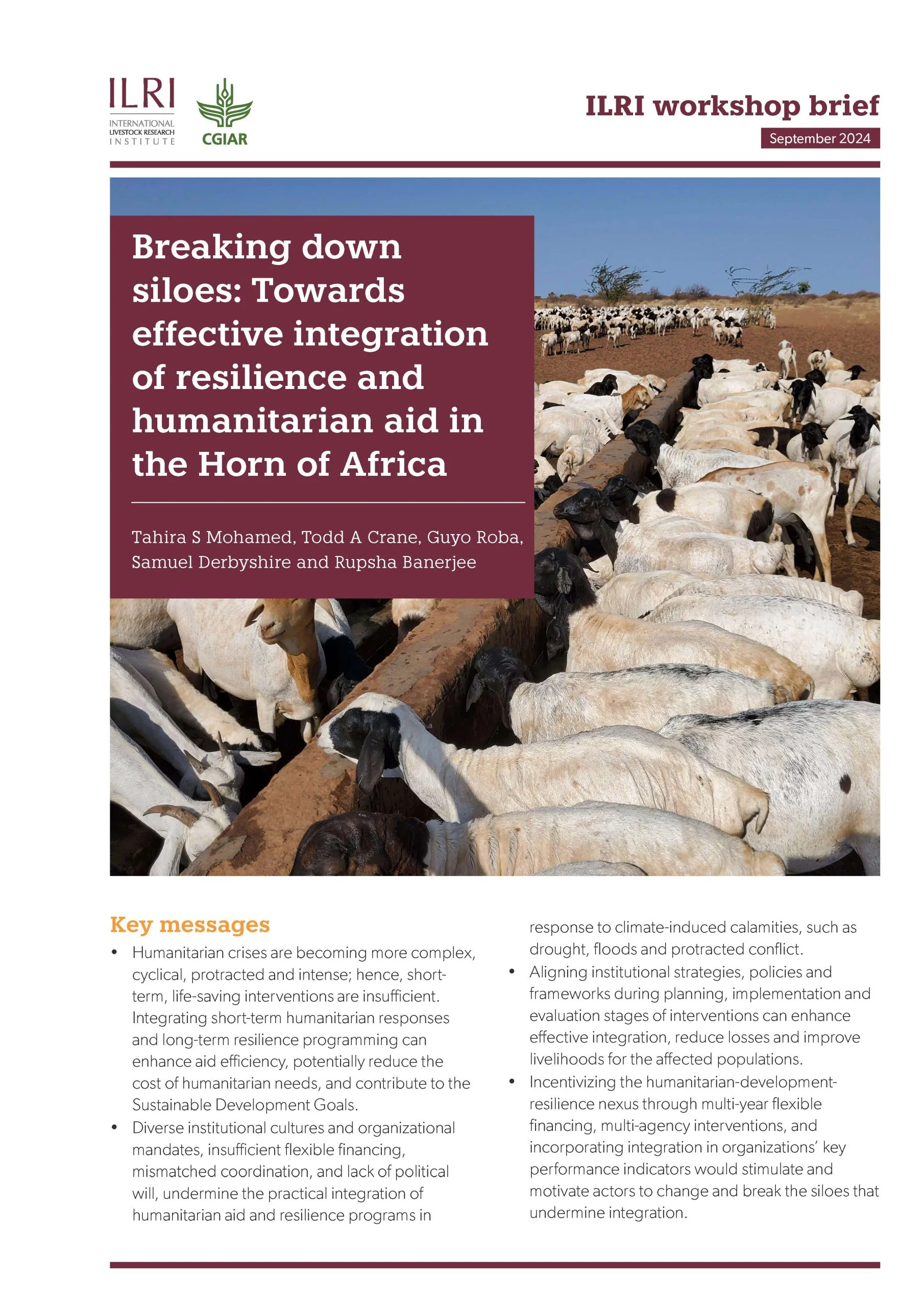 Breaking down silos: Integrating resilience and humanitarian aid in East Africa