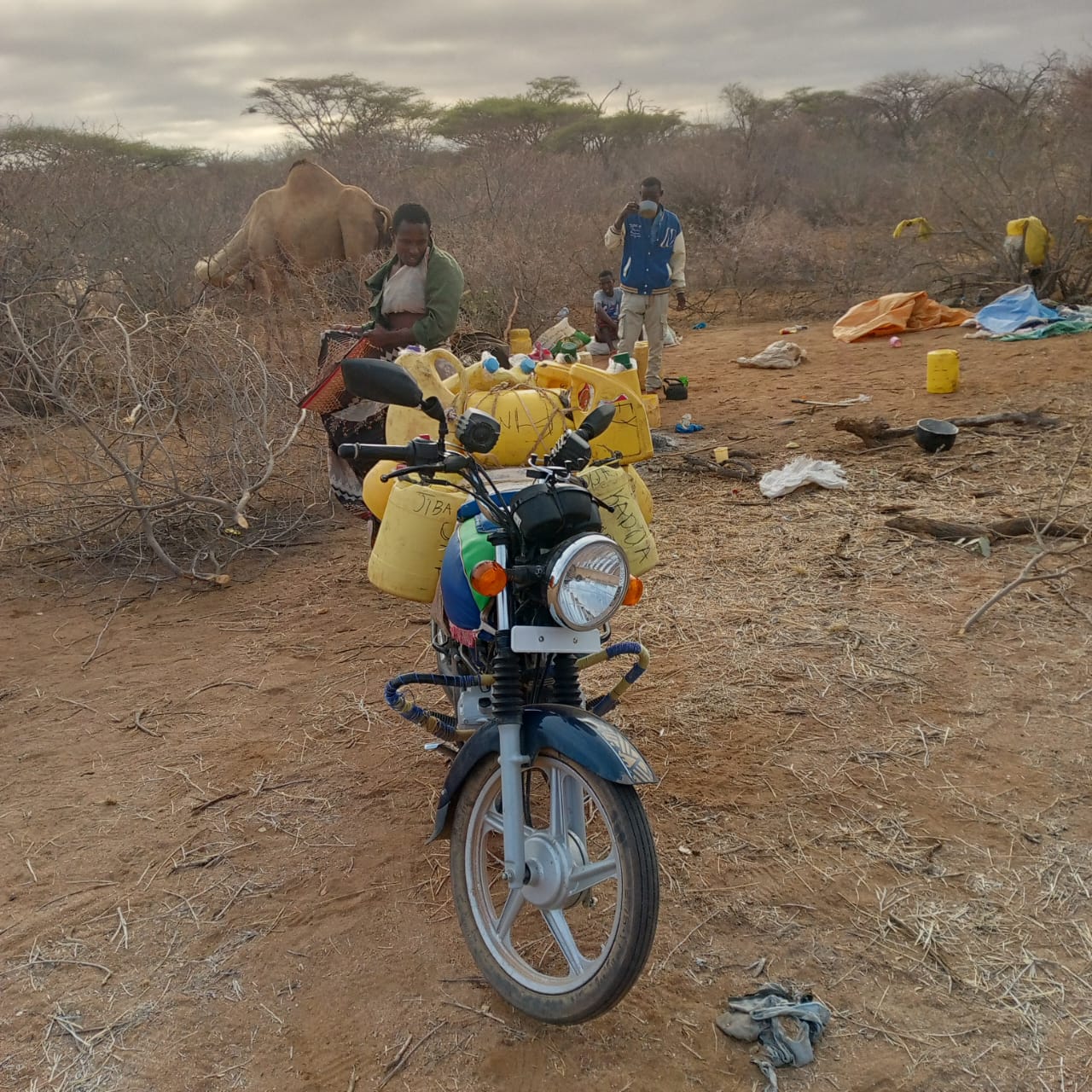 Reliable infrastructure: Pastoralism, pathways to prosperity