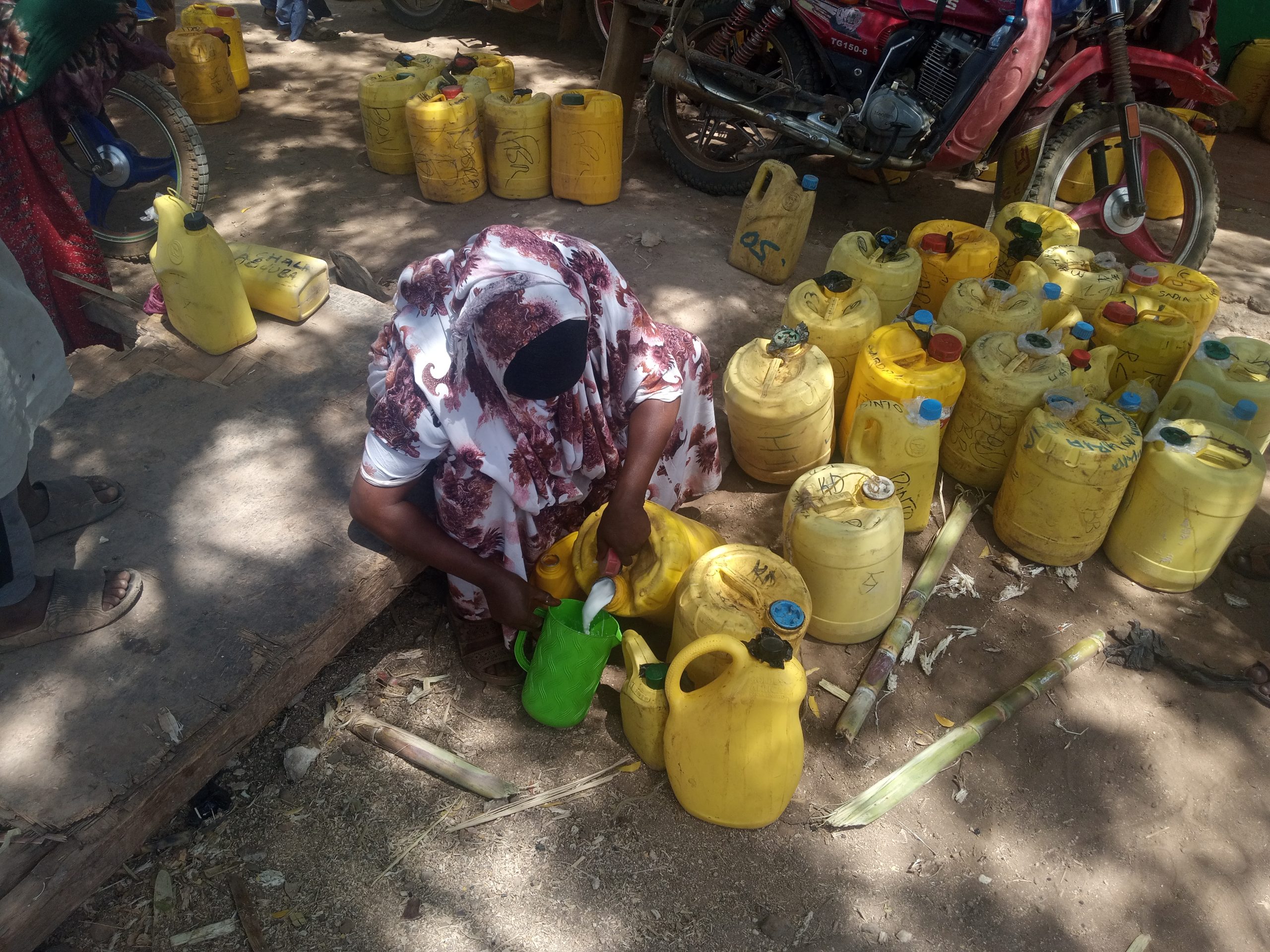 Inclusive value chains: Pastoralism, pathways to prosperity