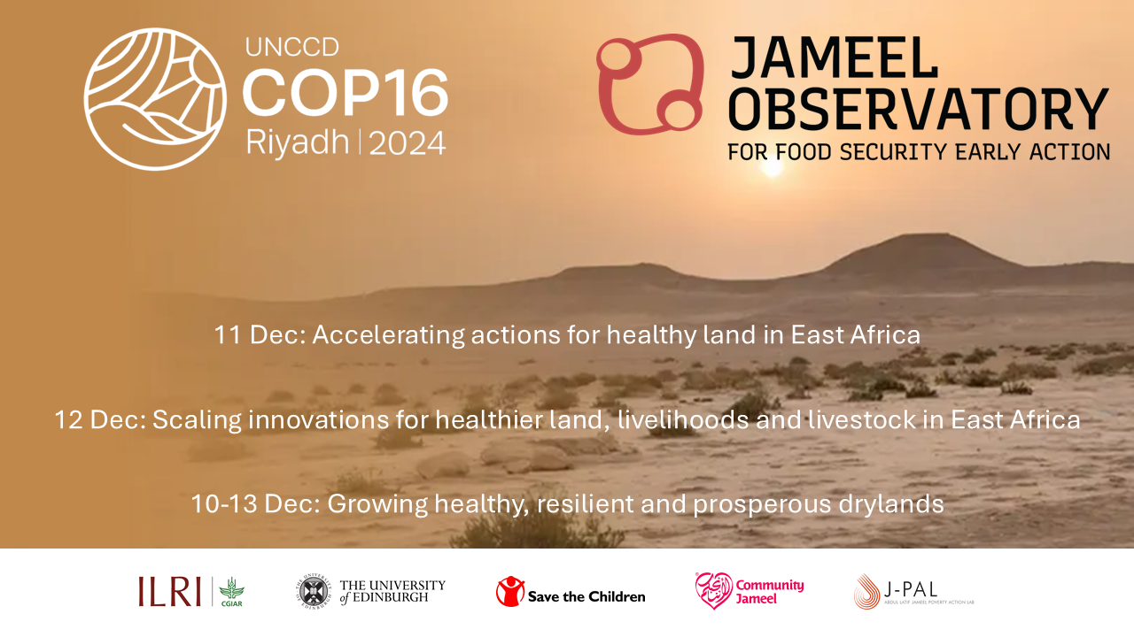 Jameel Observatory focus on pastoralist prosperity at COP16 Riyadh