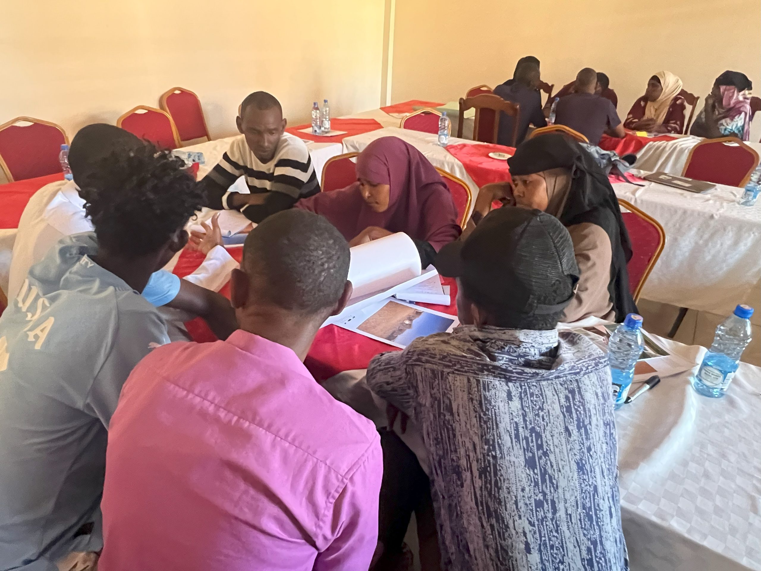 Photovoice project shows pastoralist perspectives on prosperity and resilience