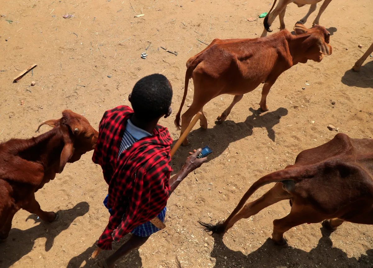 Early warning systems save lives but more funding is critical