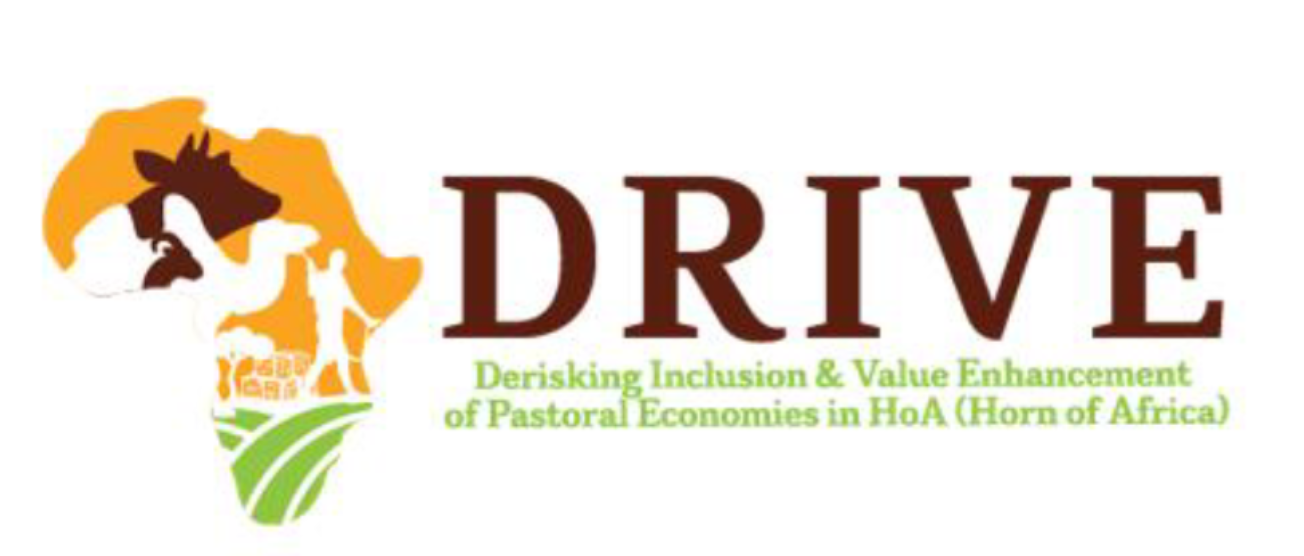 Drive logo