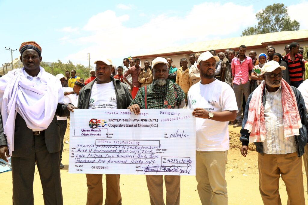 livestock insurance payout in Ethiopia