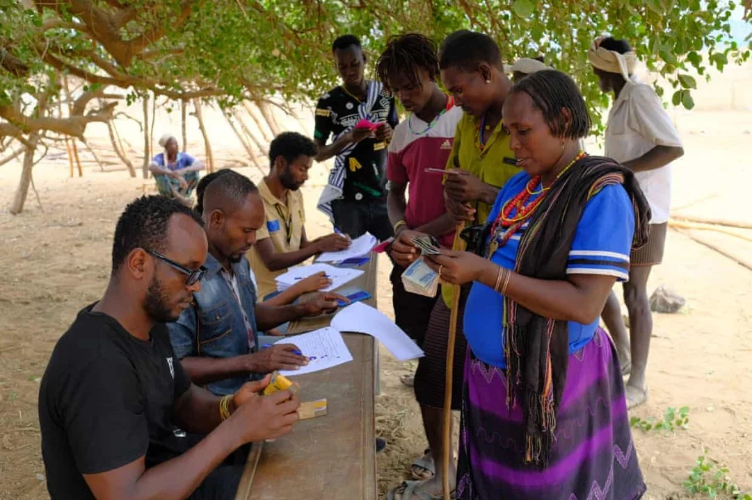 Designing livestock insurance subsidy programmes in Ethiopia’s drylands