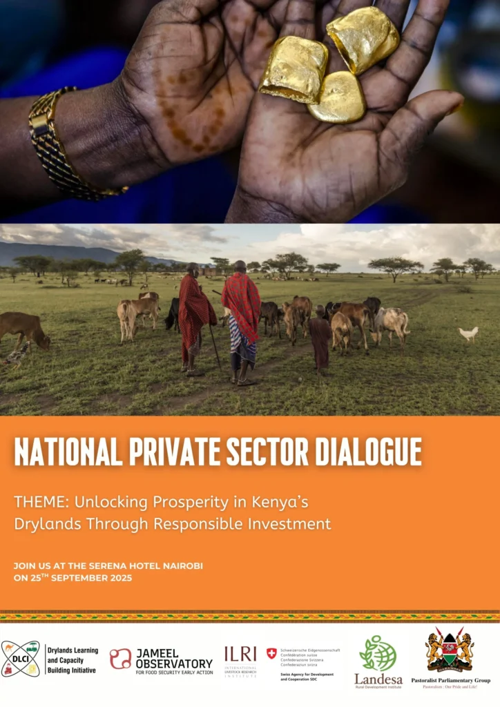 National Private Sector Dialogue Flier