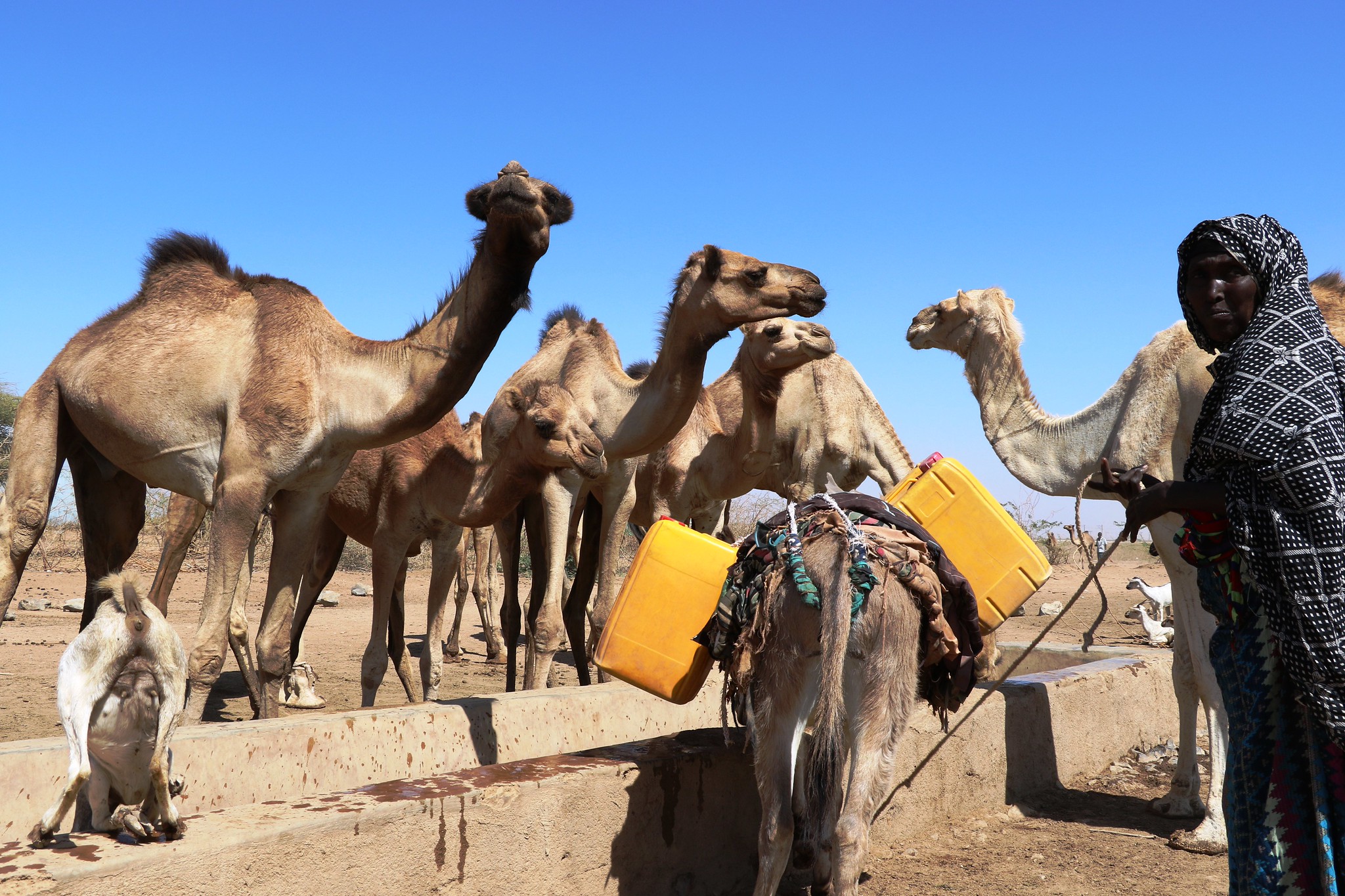 Rethinking vulnerability and humanitarian assistance in East Africa’s drylands