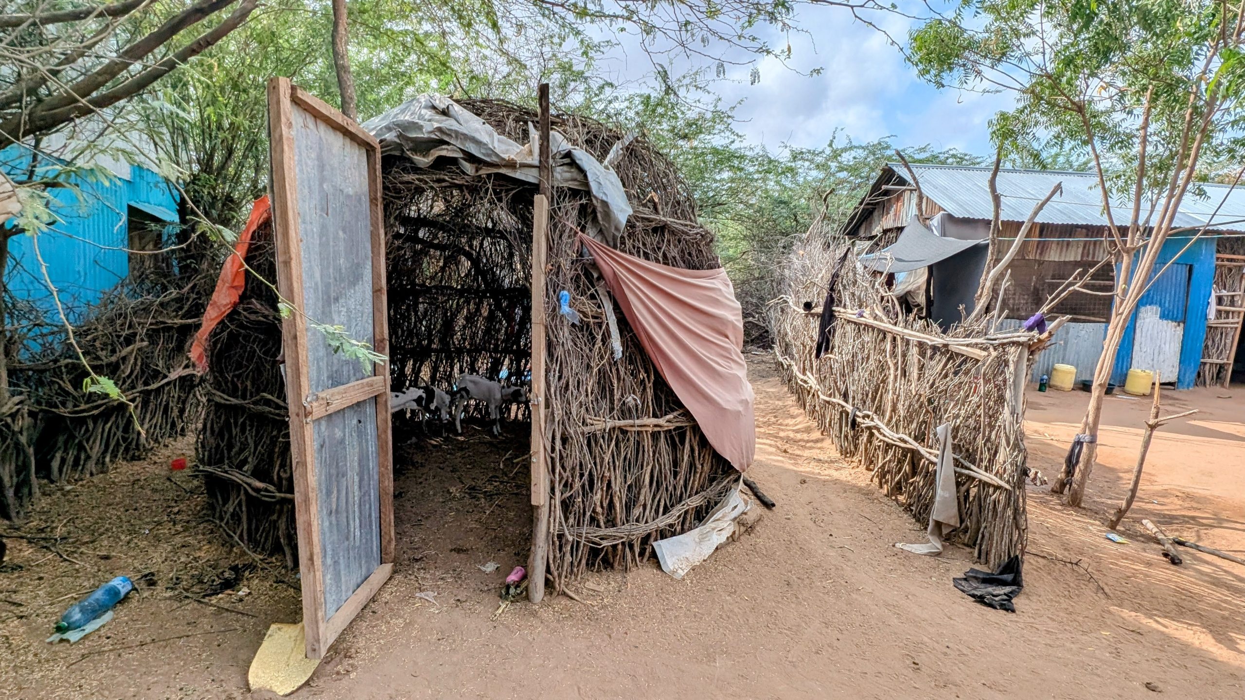 Roles of livestock in the nutrition of refugees and internally displaced people