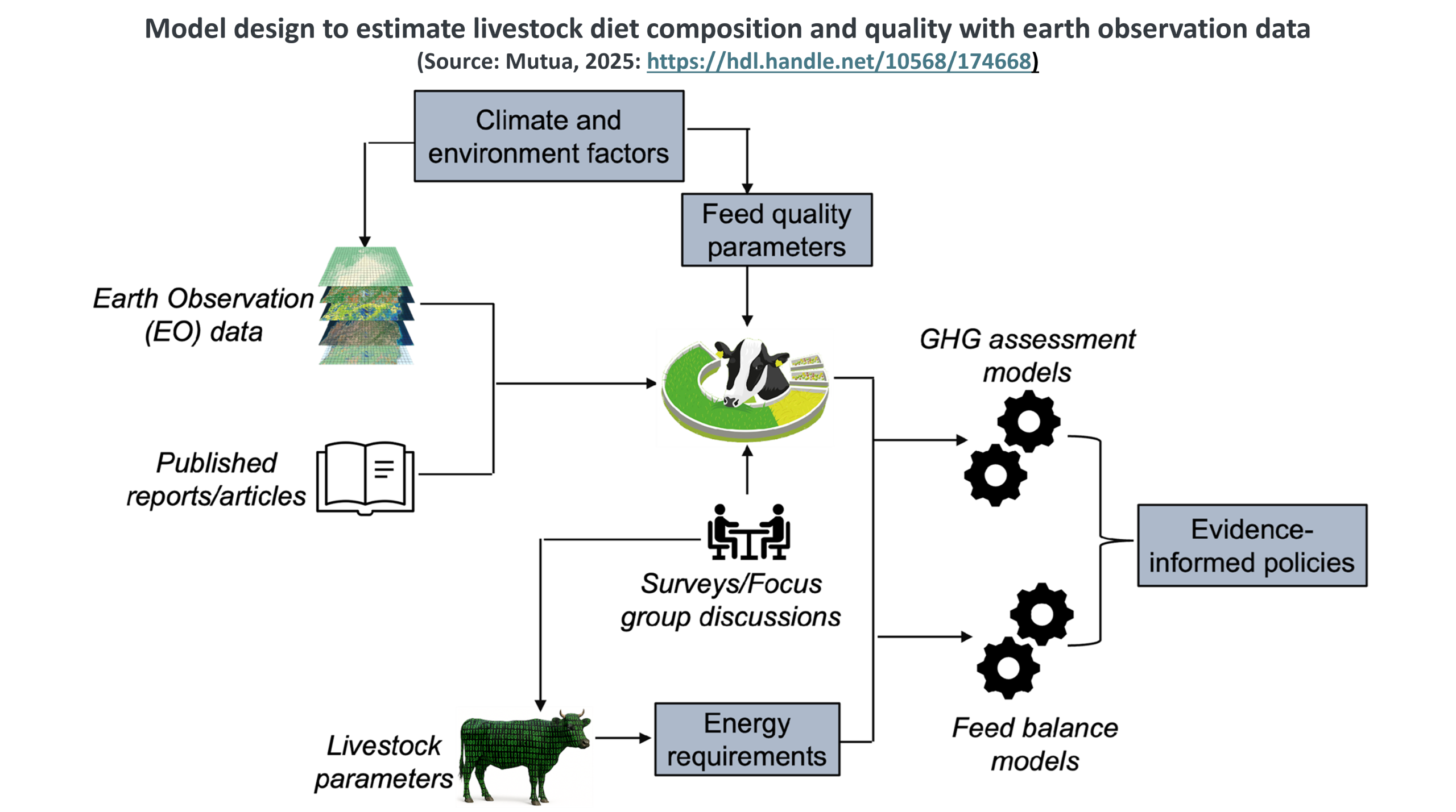 Earth observation data informs African livestock feed policy options