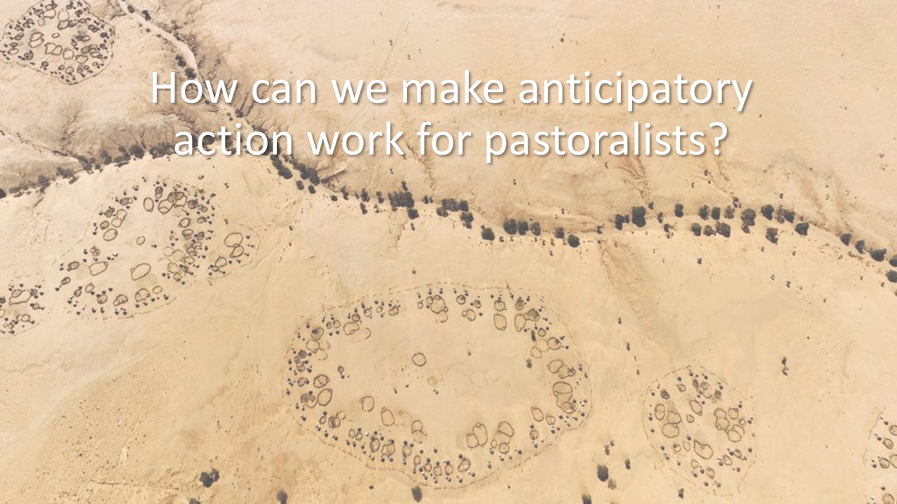 How can we make anticipatory action work for pastoralists?