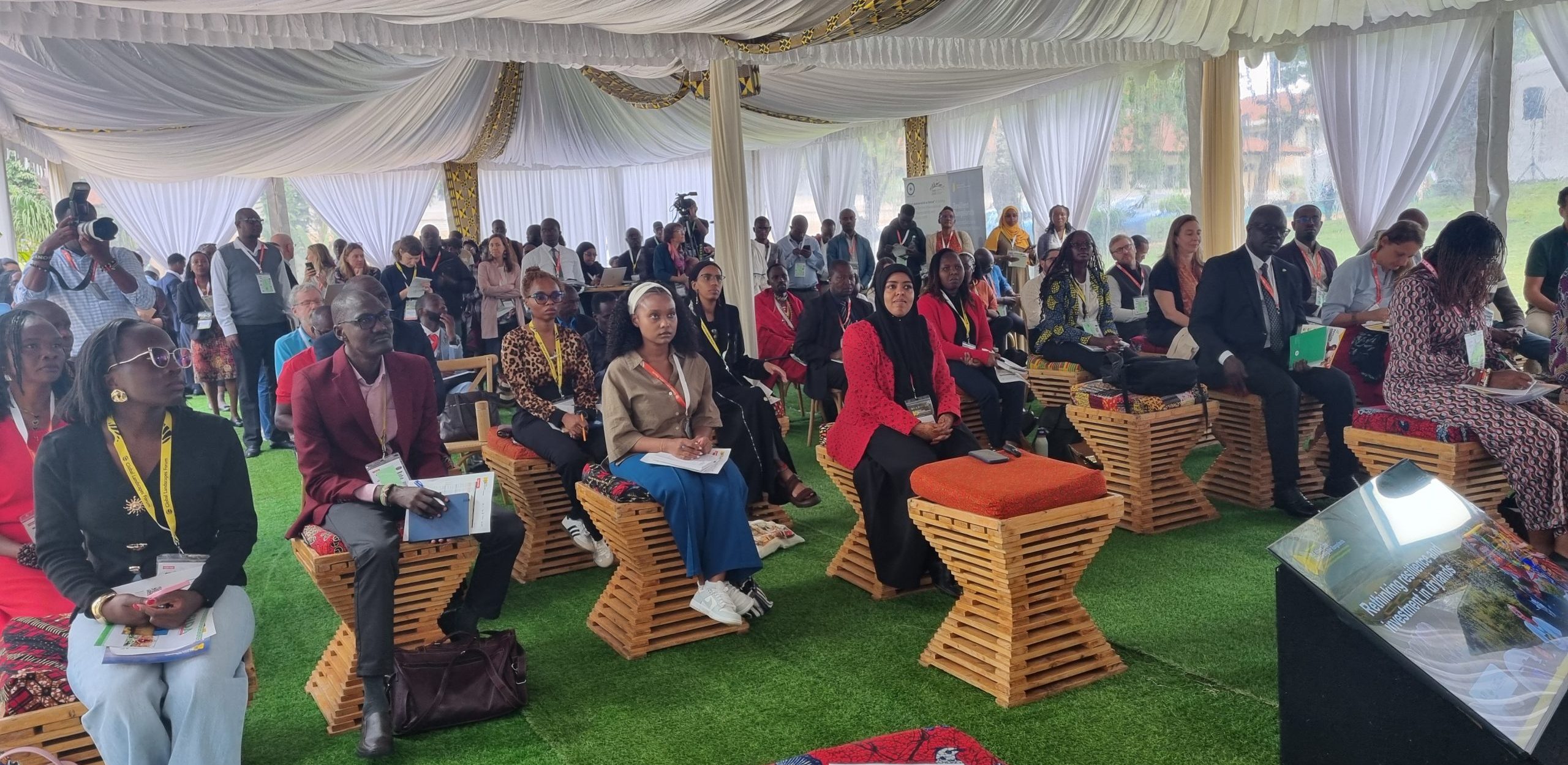Rethinking resilience and investment in drylands