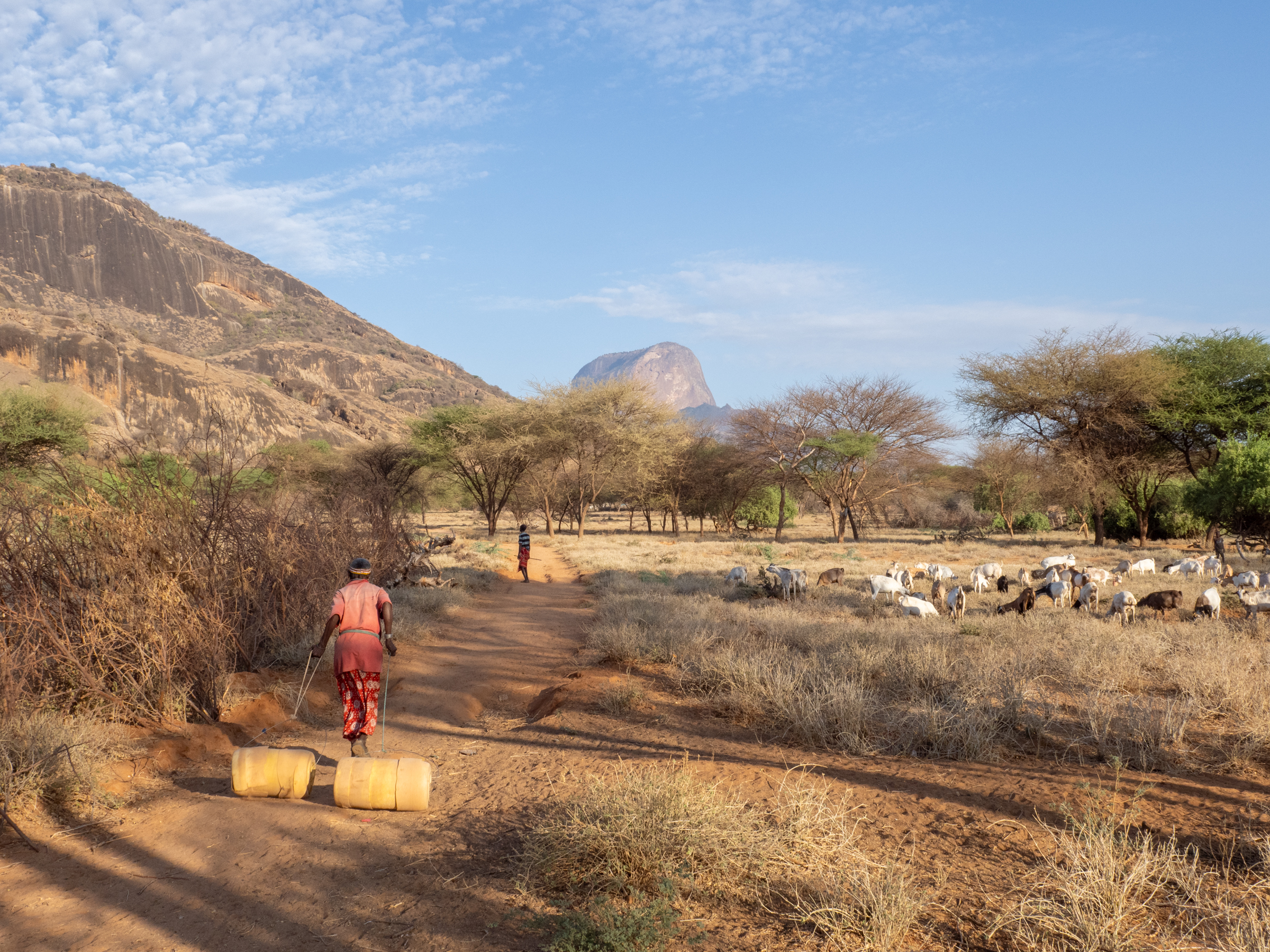 Blending multiple knowledges for action: WCIS in pastoralist contexts