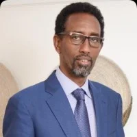 hassan bashir